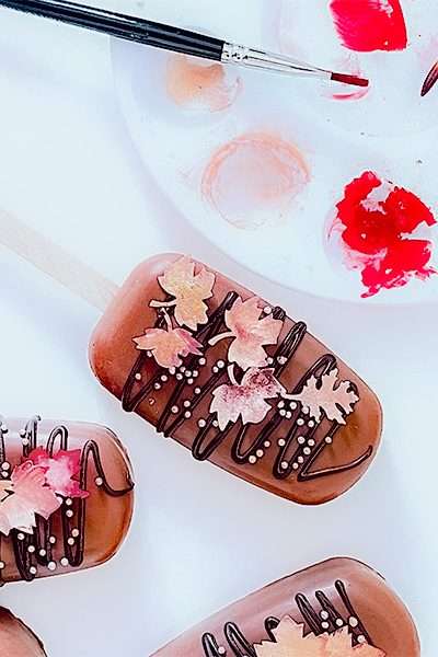 Chocolate cakesicles with autumn wafer paper leaves and palette of edible paints.